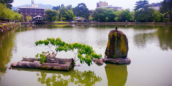 Just outside of Kōfuku-ji is this tranquil pond.